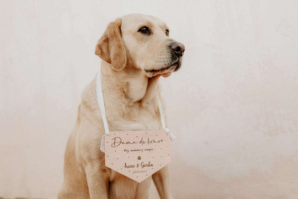 Cartel mascota - Banderola - Lletres de Vida